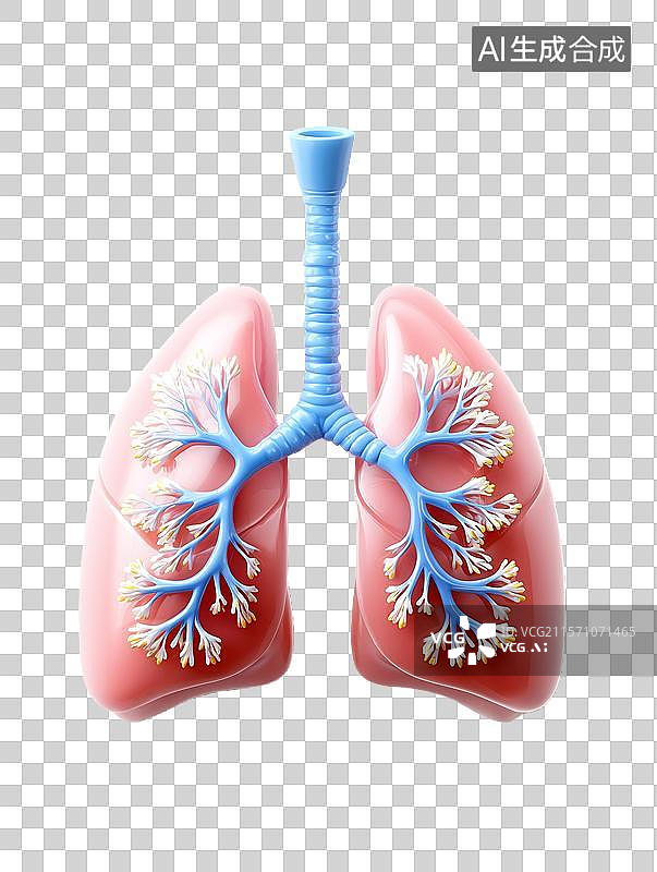 【AI数字艺术】【免抠png素材】白底背景上的肺部模型图片素材