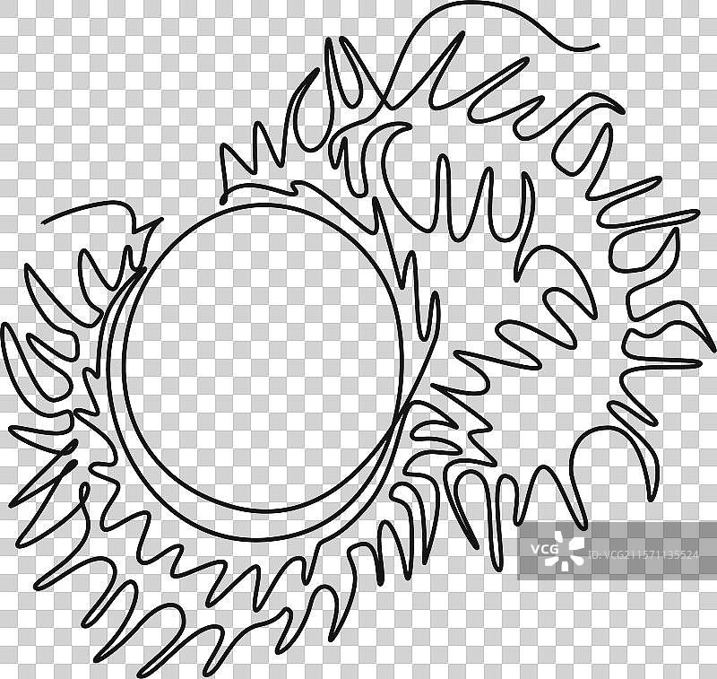 整条连续线条绘制的完整和切片水果图片素材