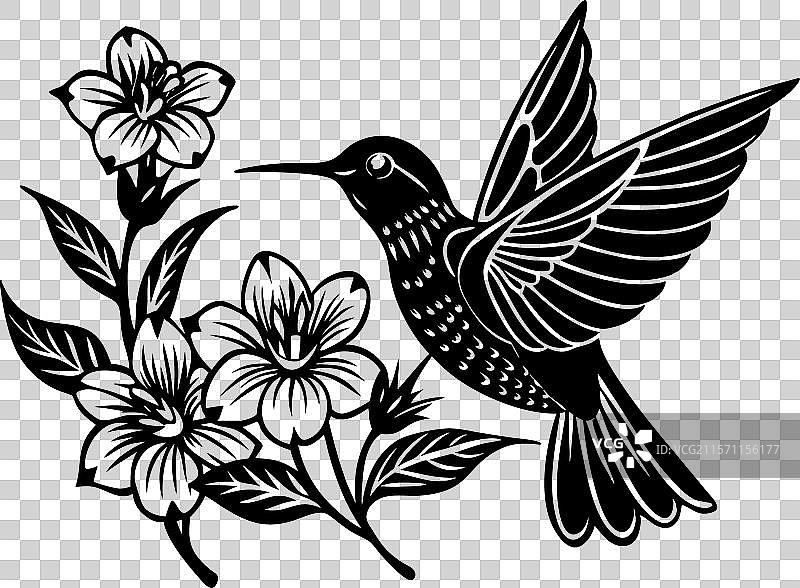 蜂鸟在花朵附近盘旋图片素材