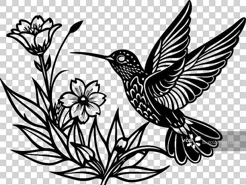 蜂鸟在花朵附近盘旋图片素材