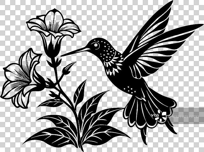 蜂鸟在花朵附近盘旋图片素材