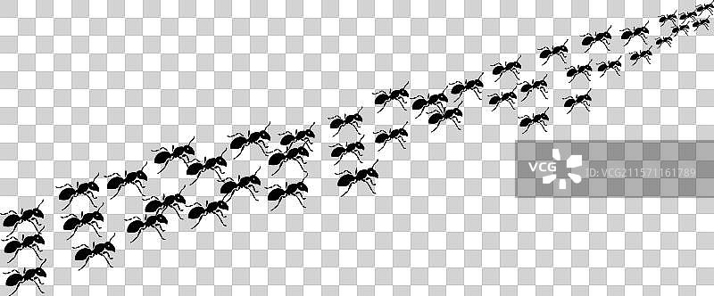 白色背景上的蚂蚁剪影图片素材