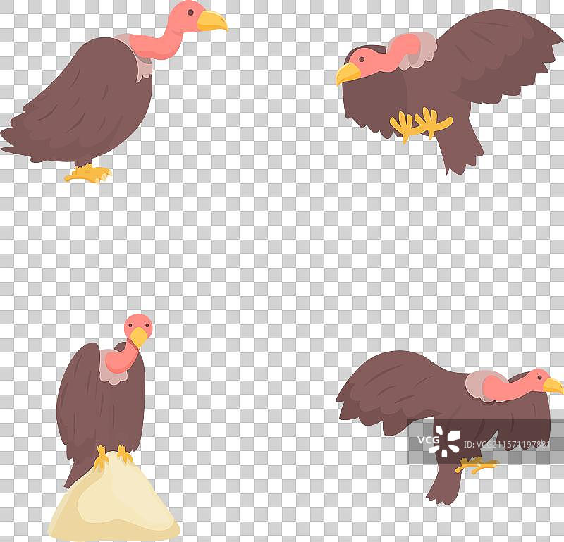 秃鹰图标集，卡通风格的大型猛禽图片素材