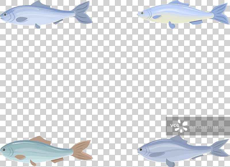 卡通新鲜生鱼图标集图片素材