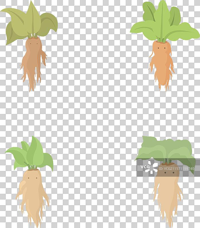 一组四个可爱的卡通根菜类蔬菜图片素材