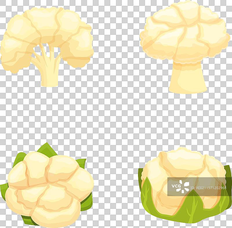 新鲜的花椰菜和西兰花组合图片素材