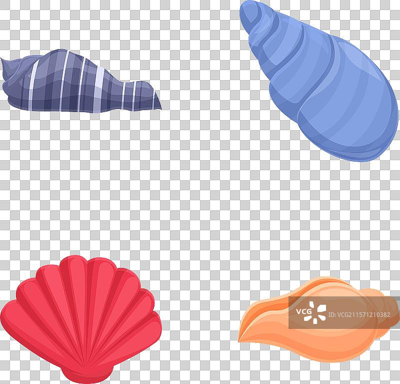 五彩缤纷的海螺收藏图片素材