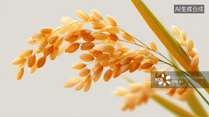 【AI数字艺术】金黄色的稻穗特写图片素材