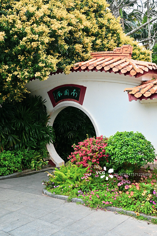 深圳仙湖植物园图片素材