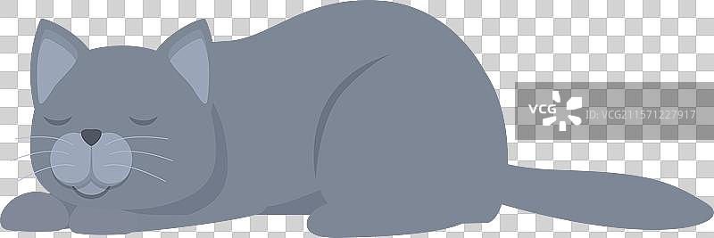 灰色猫咪在白色背景上安静地睡觉图片素材