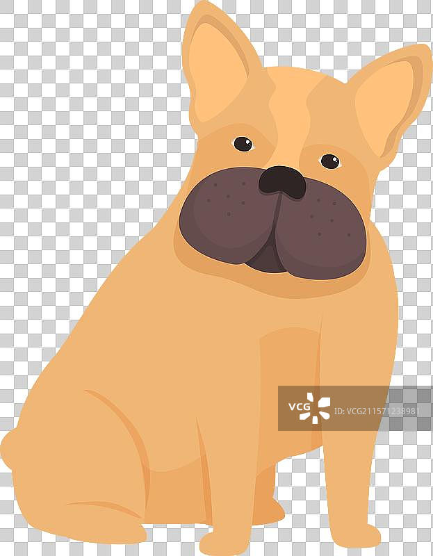 可爱的法国斗牛犬坐着并向前看图片素材