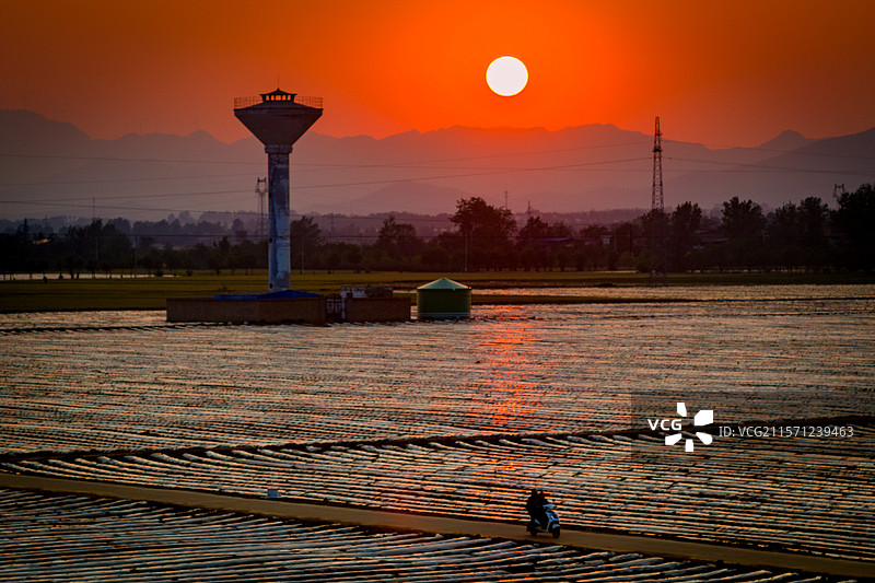 在河南省洛阳市洛宁县，每年的4月，农民在田间开始整饬烟田，并进行覆膜，远远望去，仿佛一幅画图片素材