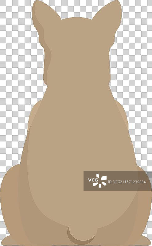 法斗坐着的背面视角图片素材