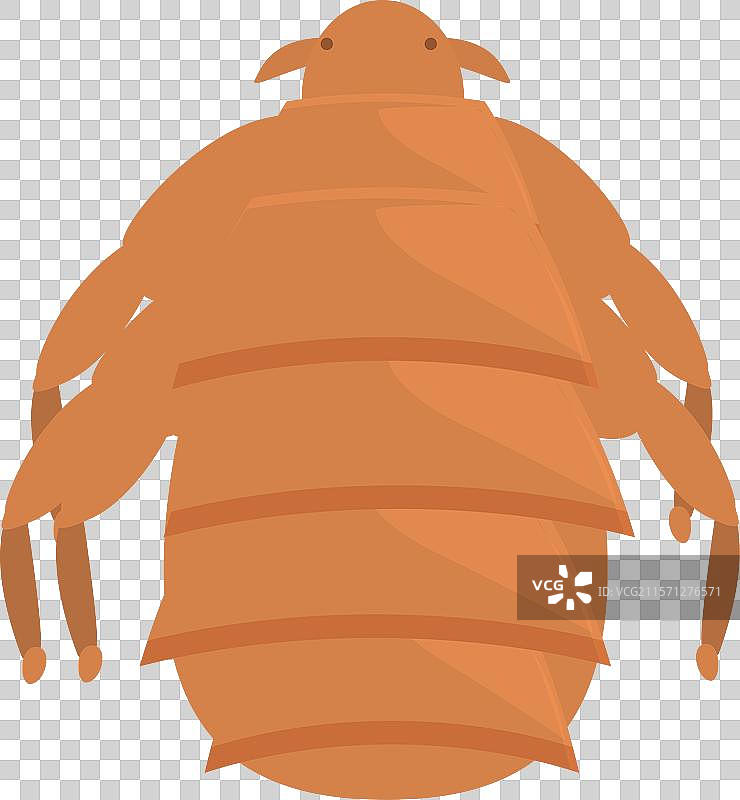 虱子通过叮咬传播感染图片素材