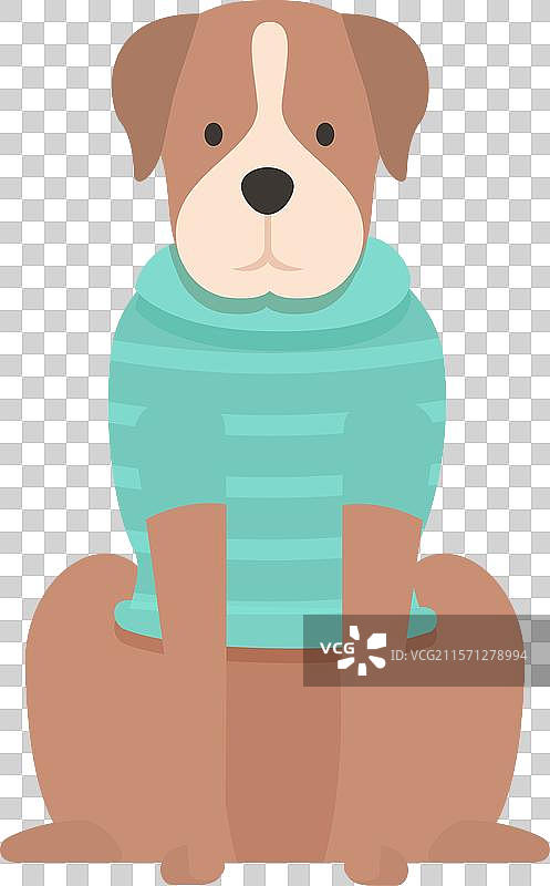 可爱的拳师犬坐着，穿着绿色条纹衣服图片素材