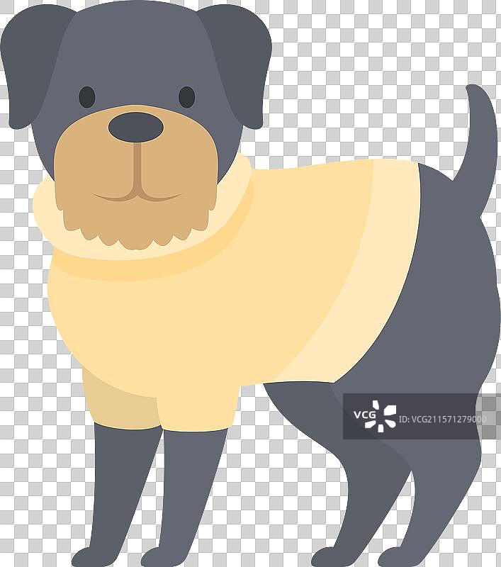 穿着黄色毛衣的黑狗站着图片素材