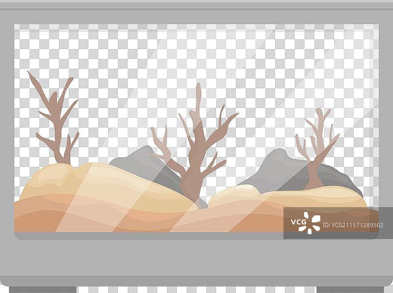 空的水族箱，里面有沙子和干燥的珊瑚图片素材