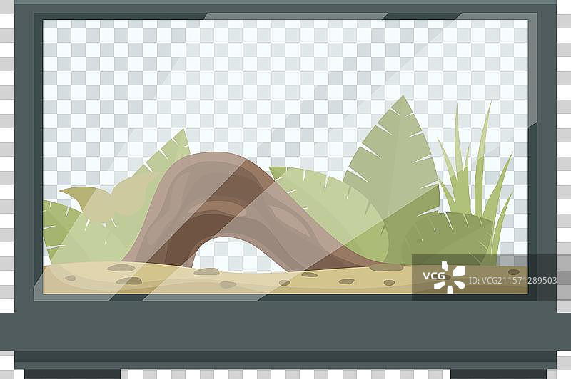 玻璃生态瓶内有木头、植物和基质图片素材