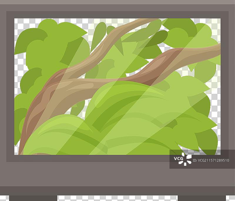 玻璃生态瓶内郁郁葱葱的绿叶景观图片素材