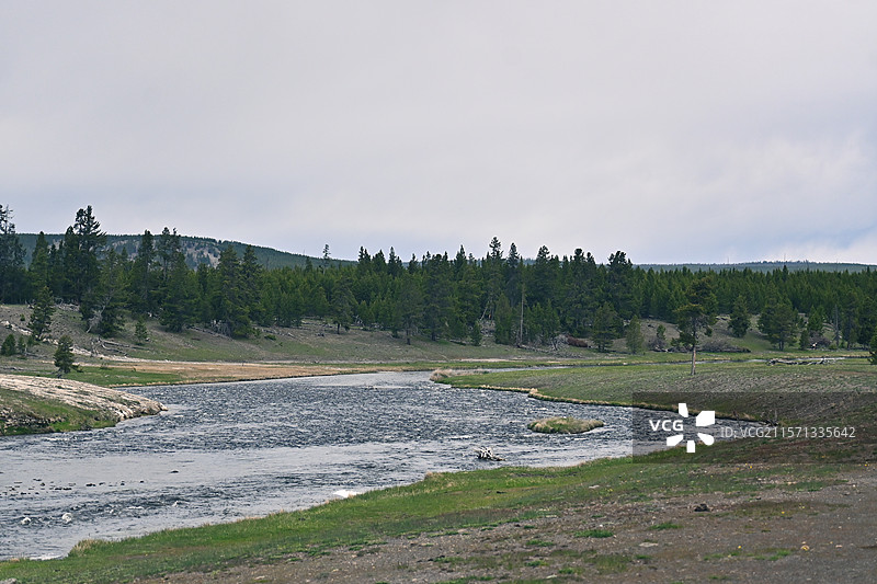 美国黄石公园+大提顿国家公园-喷泉雪山地热湖泊森林等自然景观，野牛野鹿野生狐狸等野生动物图片素材