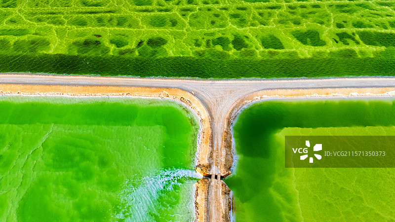 青海茫崖翡翠湖图片素材