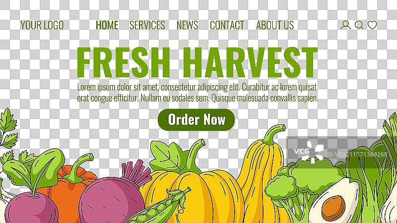 农场收获有机蔬菜，订购自然食品图片素材