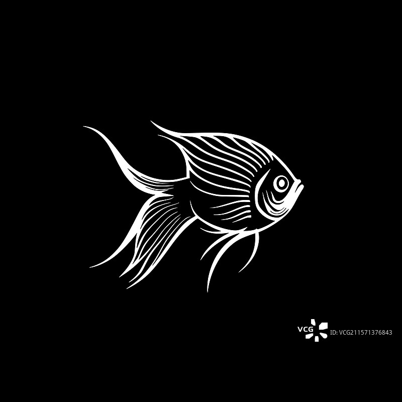 黑白天使鱼图片素材