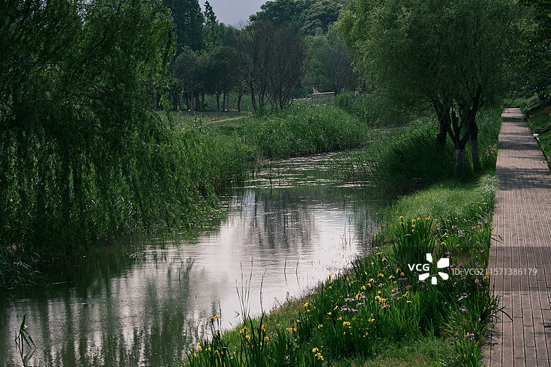 沿河小道图片素材