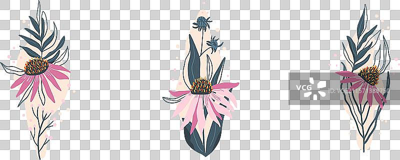 紫锥花贺卡模板套装图片素材