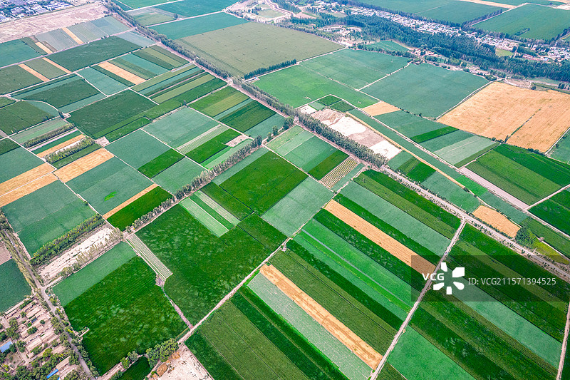 中国新疆昌吉州吉木萨尔县的农田航拍图片素材