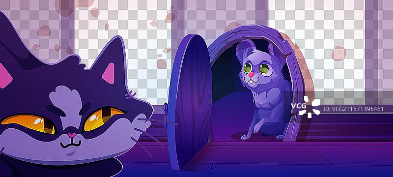 猫在小房子门附近潜伏并追踪老鼠图片素材