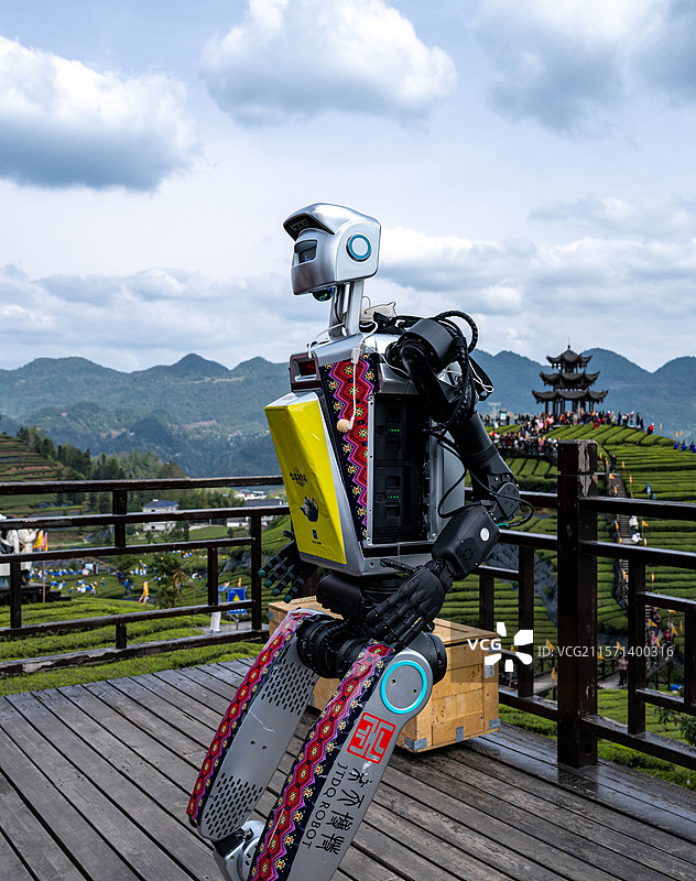国家4A级景区湖北宣恩县伍家台贡茶基地茶园里的机器人图片素材