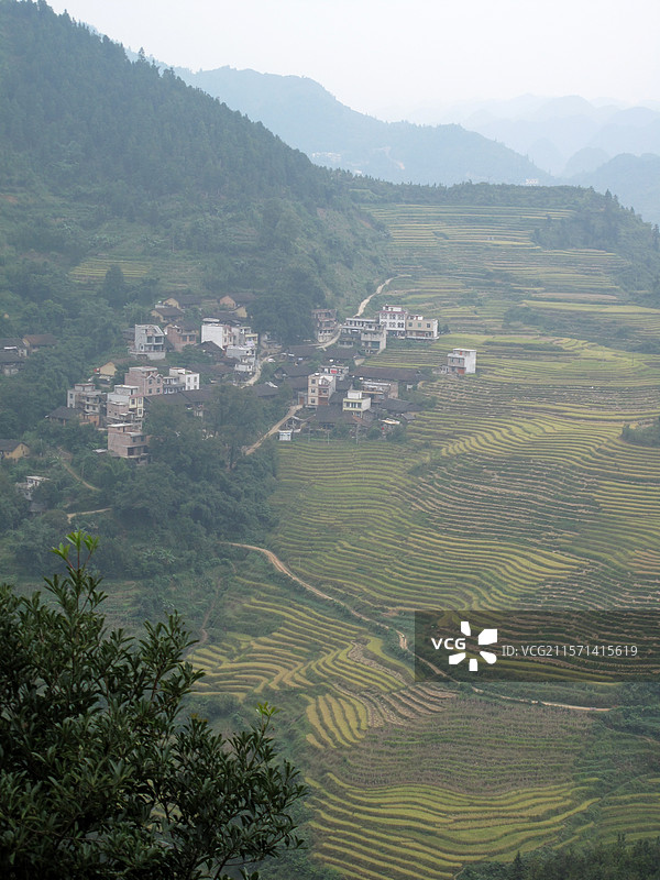 广西凌云县逻楼镇磨村田园风光图片素材