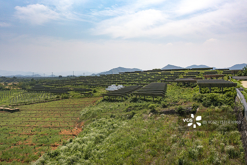 绿色田野上的光伏电站图片素材