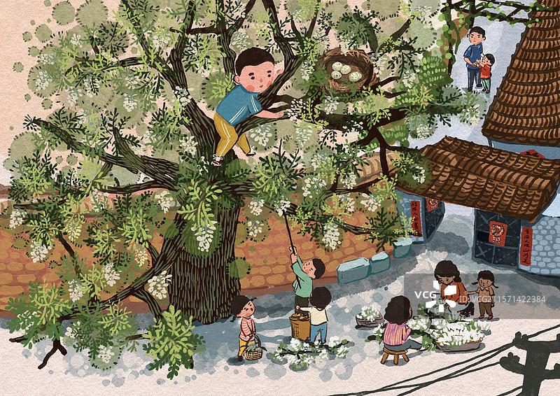 童年爬树摘槐花童年回忆乡村图片素材