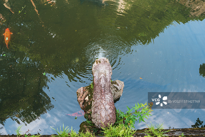 初夏无锡市惠山古镇景区文物古迹区天下第二泉下泉口泉眼图片素材