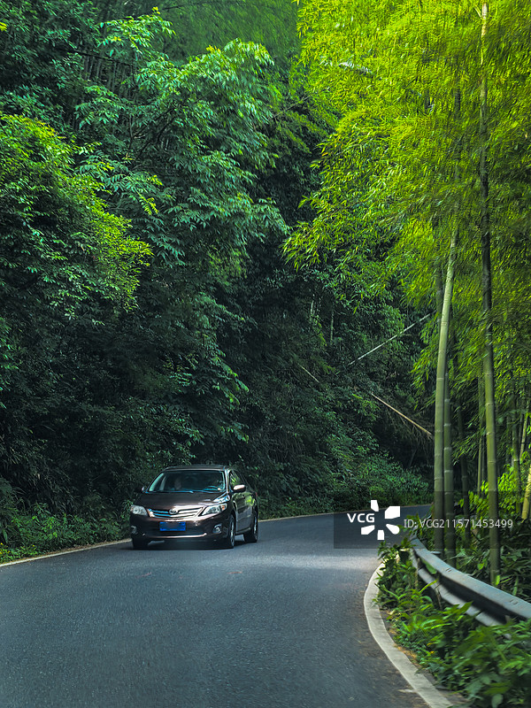 五泄景区北门的山路弯弯，一边松林一边竹林，整洁的沥青路沿山盘旋，一辆汽车从山中驶出图片素材