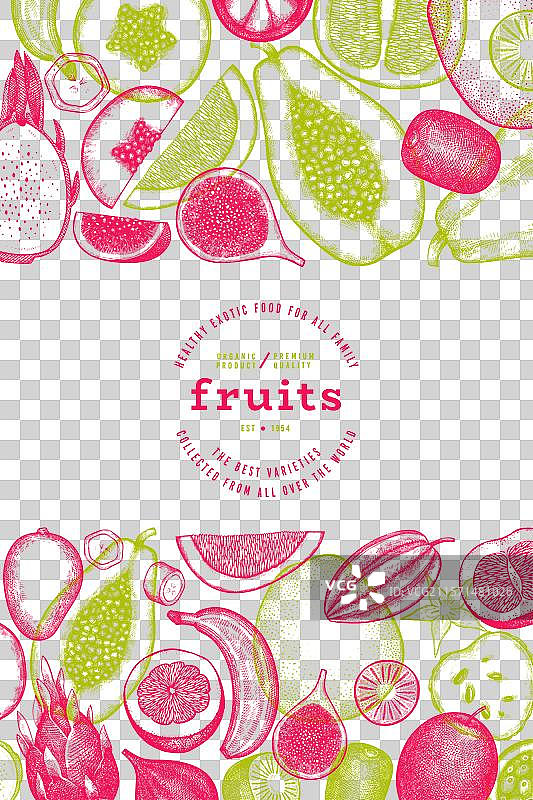 热带水果设计模板 手绘异国风情图片素材