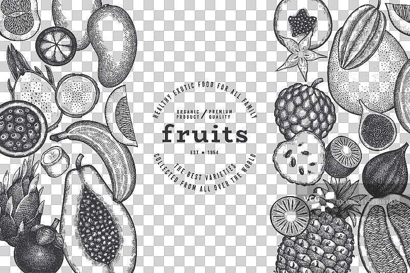 热带水果设计模板 手绘异国风情图片素材