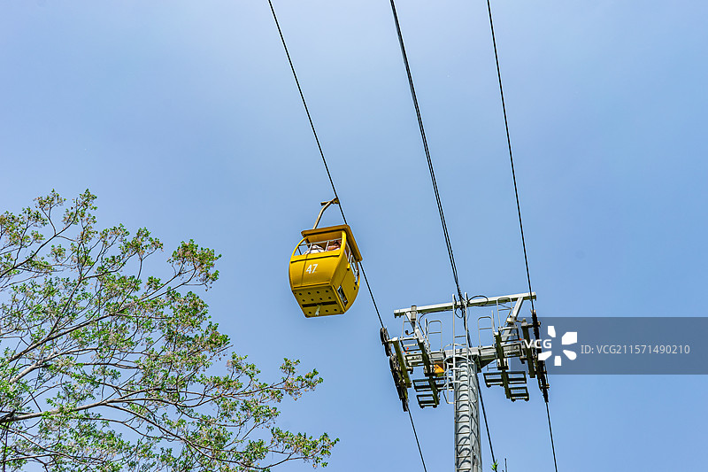中国山东省济南市千佛山风景区，低视角仰拍彩色的空中缆车和树冠，户外白昼佛像图像摄影图片素材