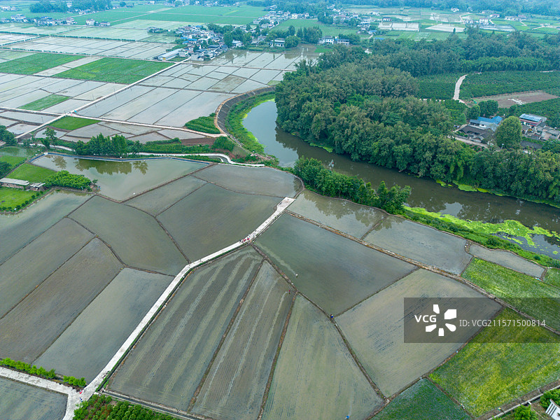 眉山青神县农业稻田农村农业领域的高角度航拍视角图片素材