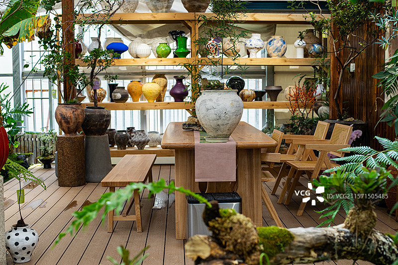 中国健康生活方式拍摄主题，室内空间里的木制桌子椅子和架子上的盆栽植物，户外白昼无人图像摄影图片素材