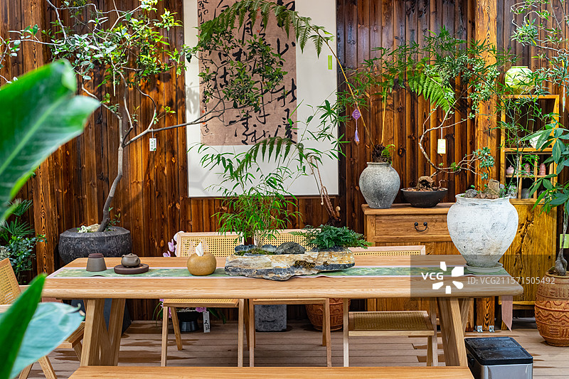 中国健康生活方式拍摄主题，室内空间里的木制桌子椅子和架子上的盆栽植物，户外白昼无人图像摄影图片素材
