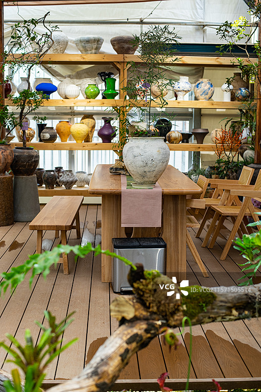 中国健康生活方式拍摄主题，室内空间里的木制桌子椅子和架子上的盆栽植物，户外白昼无人图像摄影图片素材