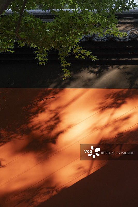 红墙建筑上的夕阳光影图片素材