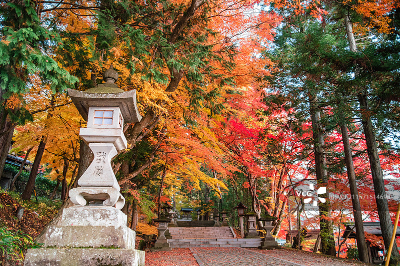 秋天红叶季的日本岐阜县飞驒高山市日枝神社图片素材