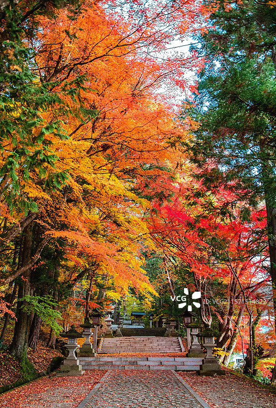 秋天红叶季的日本岐阜县飞驒高山市日枝神社图片素材