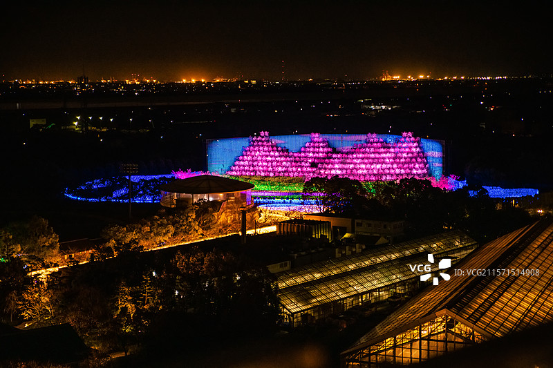 秋天红叶季 日本三重县桑名市名花之里夜景图片素材