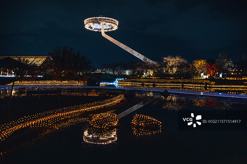 秋天红叶季 日本三重县桑名市名花之里夜景图片素材