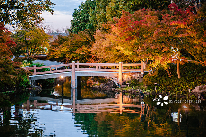 秋天红叶季 日本三重县桑名市名花之里夜景图片素材